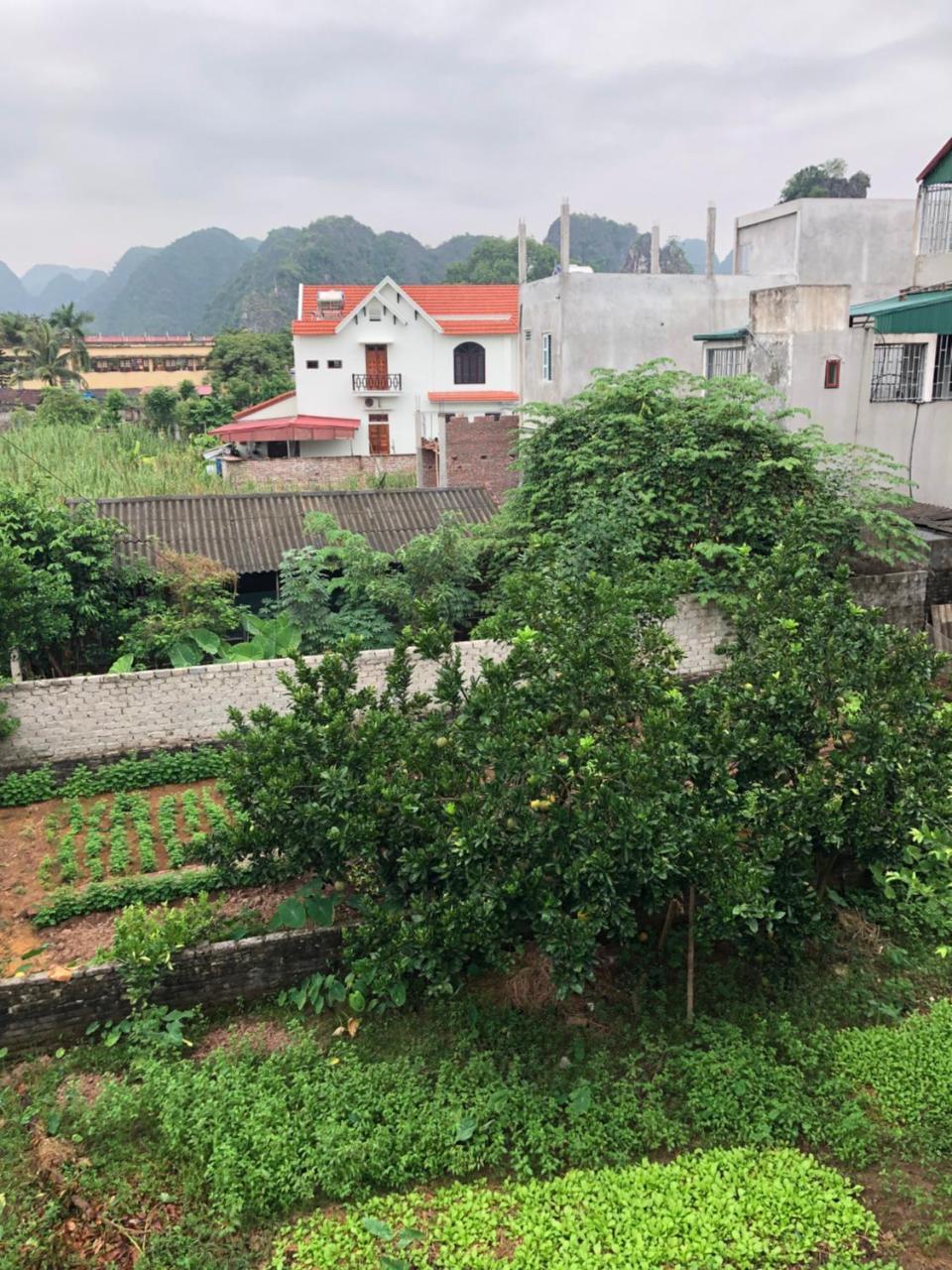 Tam Coc - Thanh Homestay Ніньбінь Екстер'єр фото