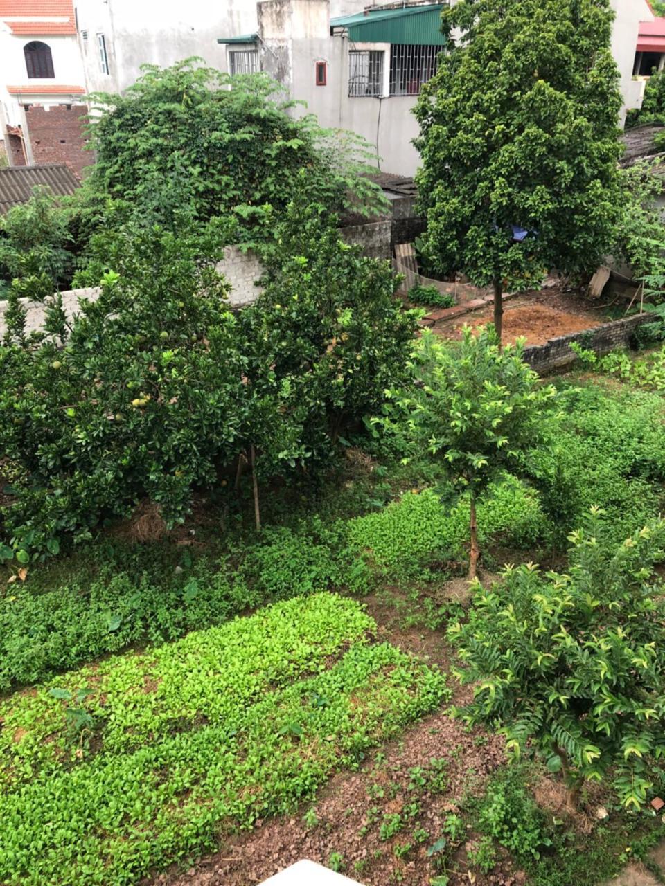Tam Coc - Thanh Homestay Ніньбінь Екстер'єр фото